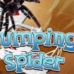 Jumping Spider