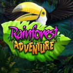 Rainforest Adventure